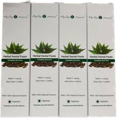 HERBS & MORE Netsurf Toothpaste 4pcs Toothpaste