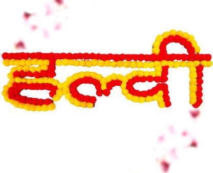 JBRETAIL Board for Girls & Boys Wedding Haldi Decoration (Multicolor) (23*8inch) Toran