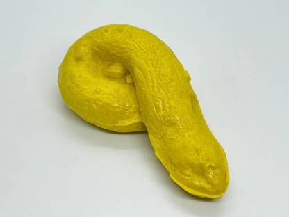 wizerdy FAKE POOP GAG TOY / FAKE POTTY PRANK TOY GAG TOY 1 Magic Tricks