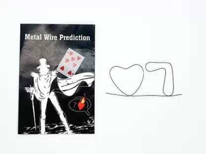 SSR SHOP A SARKAR Mental Memory Wire Prediction Magic / Wire Gram / Memory Metal Wire 1 Magic Tricks