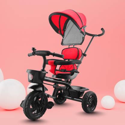 Toyzoy Maple Pro Max Tricycle with Canopy for Boys & Girls Age Group 2+ Years TZ-532 Tricycle