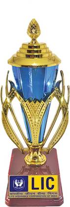 BAREEZÉ PURE 10 inch Premium Trophy for lic Trophy