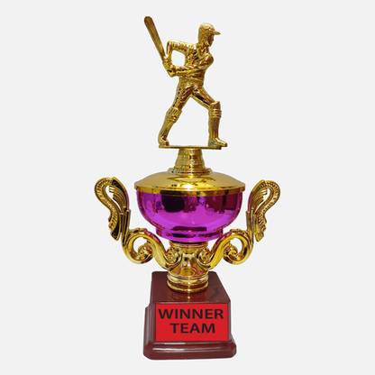BAREEZÉ PURE Cricket Trophy for Winner Trophy Tournament Cup cricket tournament trophy Trophy