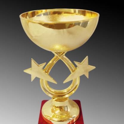 Zed Impex Zed Impex Trophy Cups – Custom Text for Tournaments & Celebrations Trophy