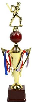 ArtRight Vistara Cricket Spl Trophy