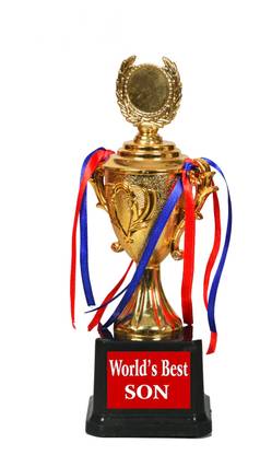 Jayshri handicrafts Best Son in The World Printed Golden Award Trophy Gift for Birthday Trophy