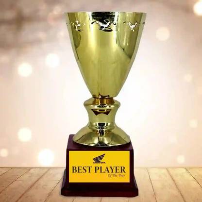 PrestoW Customised Text Editing Metal trophy For Award Session (9 inch) Trophy