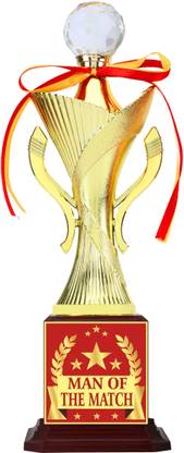 AARK INDIA Man of the Match winner /Tournament/ competition Trophies Award (PC002317) Trophy
