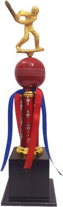 RAINY FOREST trophy for cricket team winner Congratulate the team on ajob Trophy