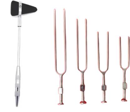 Cityhealth Cityhealth Knee Hammer Taylor Model with Tuning Fork 1028, 512,256,128 Hz Tuning Fork