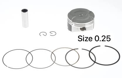 WE PISTON KIT BAJAJ PULSAR NS200/RS200/AS200/BS3,BS4,BS6 (SIZE 0.25) 2012::2024 11.1:1 Cast
