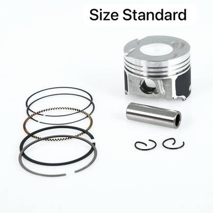 ASHKA PISTON KIT FOR BAJAJ DISCOVER 100 M/T (SIZE STD) 2007::2015 10.5 0.5 : 1 Cast