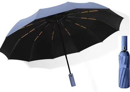 AlexVyan 12 Ribs Large Travel Automatic Umbrella Windproof for Rain & Sun. Umbrella