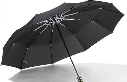 PARTY BREEZE 3 fold big size lightweight strong folding compact 10 aluminium ribs Umbrella