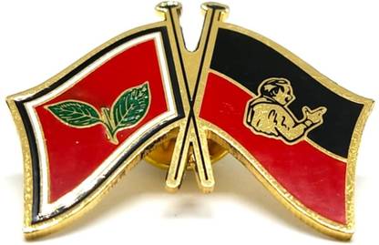 RJPM Gold Uniform Badge