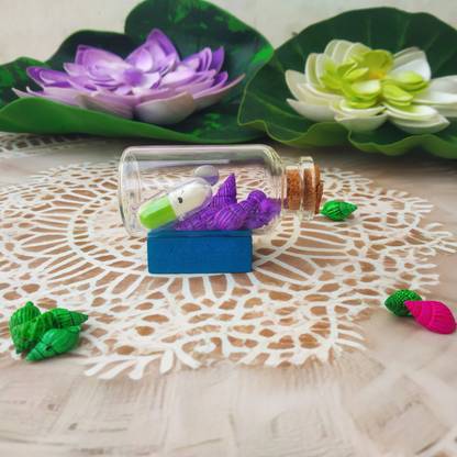 CHIPWOOD 1 Pc Wishing/Message Pill Glass Bottle For Your Loved Once Decorative Bottle