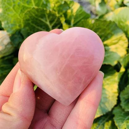 HEALIT Showpiece Gift Set