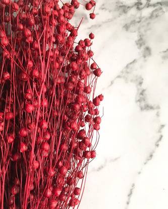 On The Soil Dried Linum Flax Flower Bunch: Red Vase Filler