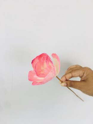 vanchai Barbie Pink Sola Flower (5pcs) Vase Filler