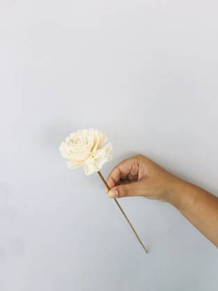 vanchai DL0064 Vase Filler