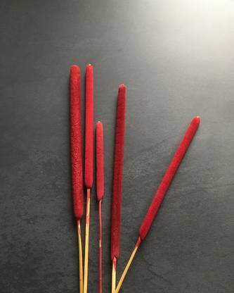 On The Soil Cat Tails Home Décor(Red), Total Height-50-70cm, Reed Height-13-20cm, Vase Filler