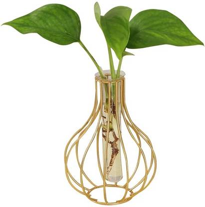 jn crafts JN CRAFTS Designer Flower Vase Test Tube Glass Vase Hydroponic Plant Set of 1 Iron Vase