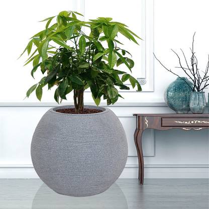 NORA Plant Container Set
