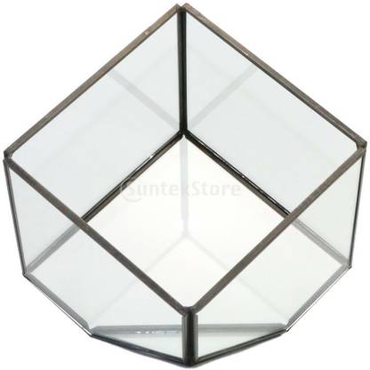 BNF Creative Glass Geometric Terrarium Box Tabletop Succulent Plant Planter #2 Glass Vase