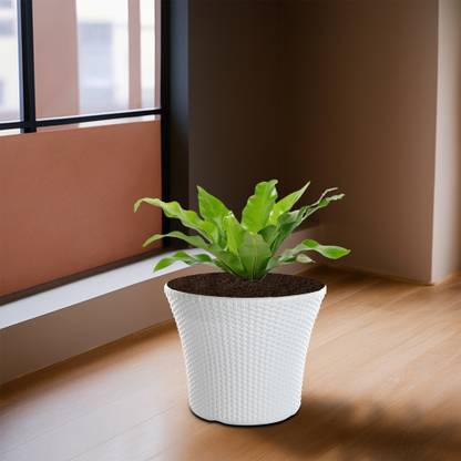 KUBER INDUSTRIES Polyfiber 12 Inch Pots for Plants Balcony | White Plastic Vase