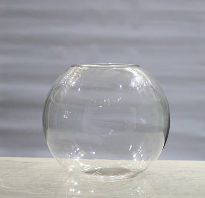 shobhana enterprises DECORATIVE FISH BOWL W/C, GLASS FISH BOWL/ GLASS TERRARIUM/ 14" Glass Vase