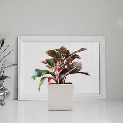 THEAMPETHAPARA European Style Design Unique Wedding Ceramic Flower Planter For Home Decor Ceramic Vase