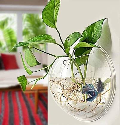 seaqua Crystal Clear Glass Wall Aquarium or Wall VASE for Decor (8 inch) Glass Vase