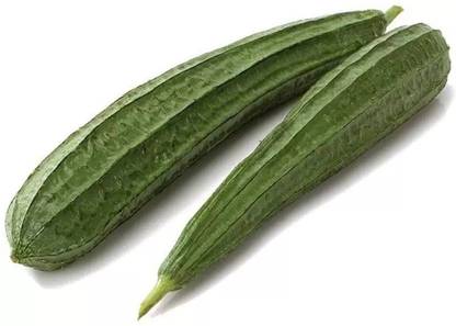 Ridge Gourd