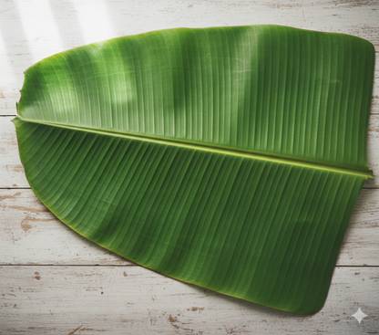 Banana Leaf