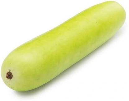 Bottle Gourd