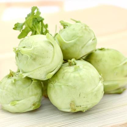 Knol Khol
