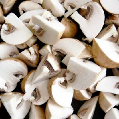 Urban Harvest Mushroom Cut Cut