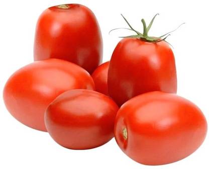 Tomato Hybrid