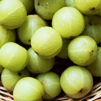 Amla