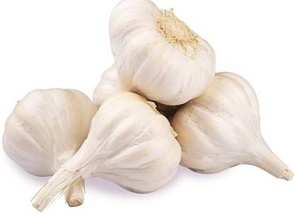 Organic Garlic Organically Grown