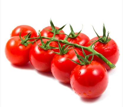 Red Cherry Tomato (Hydroponics)