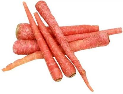 GAJAR (CARROT) RED