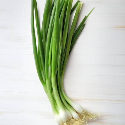 Spring Onion