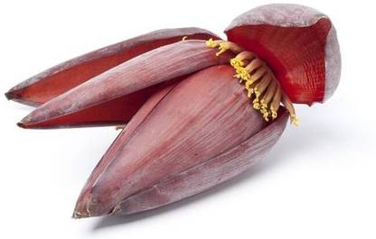 Banana Flower
