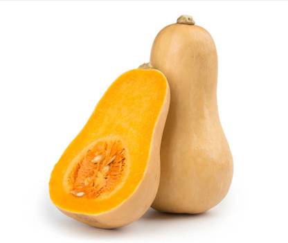 Butternut Squash Pumpkin