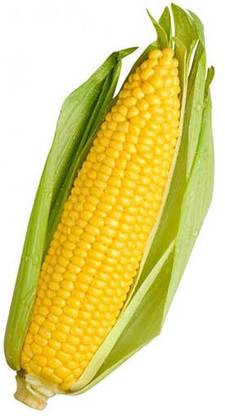Sweet Corn