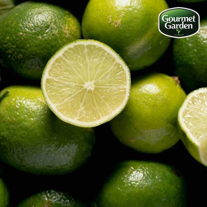 Organic Lemon