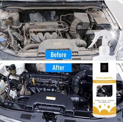 SAPI'S SapiS Engine Dressing 500ml Spray Engine Cleaner