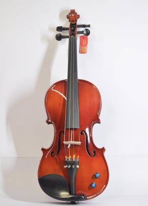 Ngmmusicals S.V.Z-119 4/4 Electric Violin