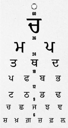 Bos Medicare Surgical Medical Eye Examination Sheet, "Panjabi" Vision Test Chart